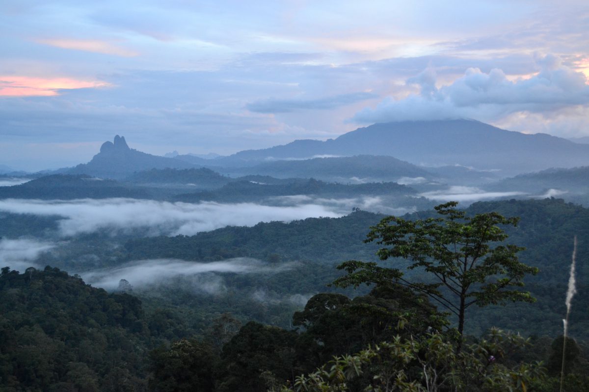 Cover photo for the Malaysia page.