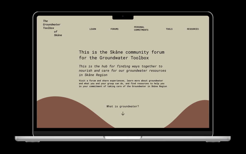 A photo for Agnes Elfvingsson's student project. A photo of the final website forum prototype.