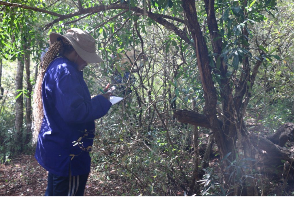 Image of one of the researchers collecting field data.