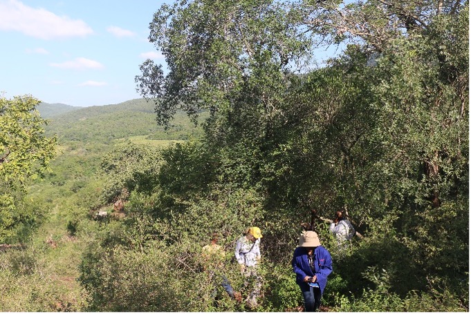 Part of gallery of images of team conducting fieldwork in the different communities.