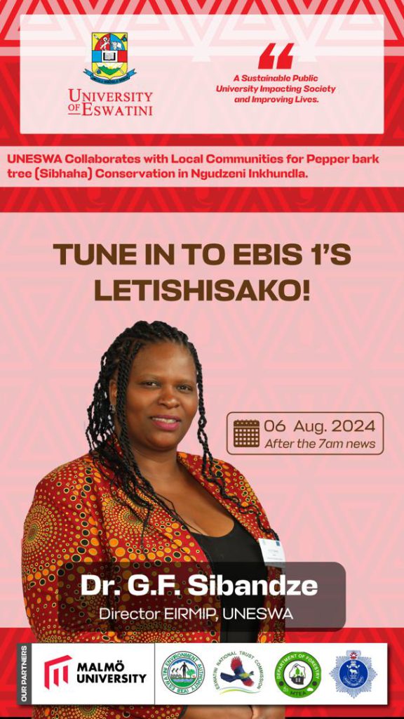 Image of Gugu Sibandze on National Radio
